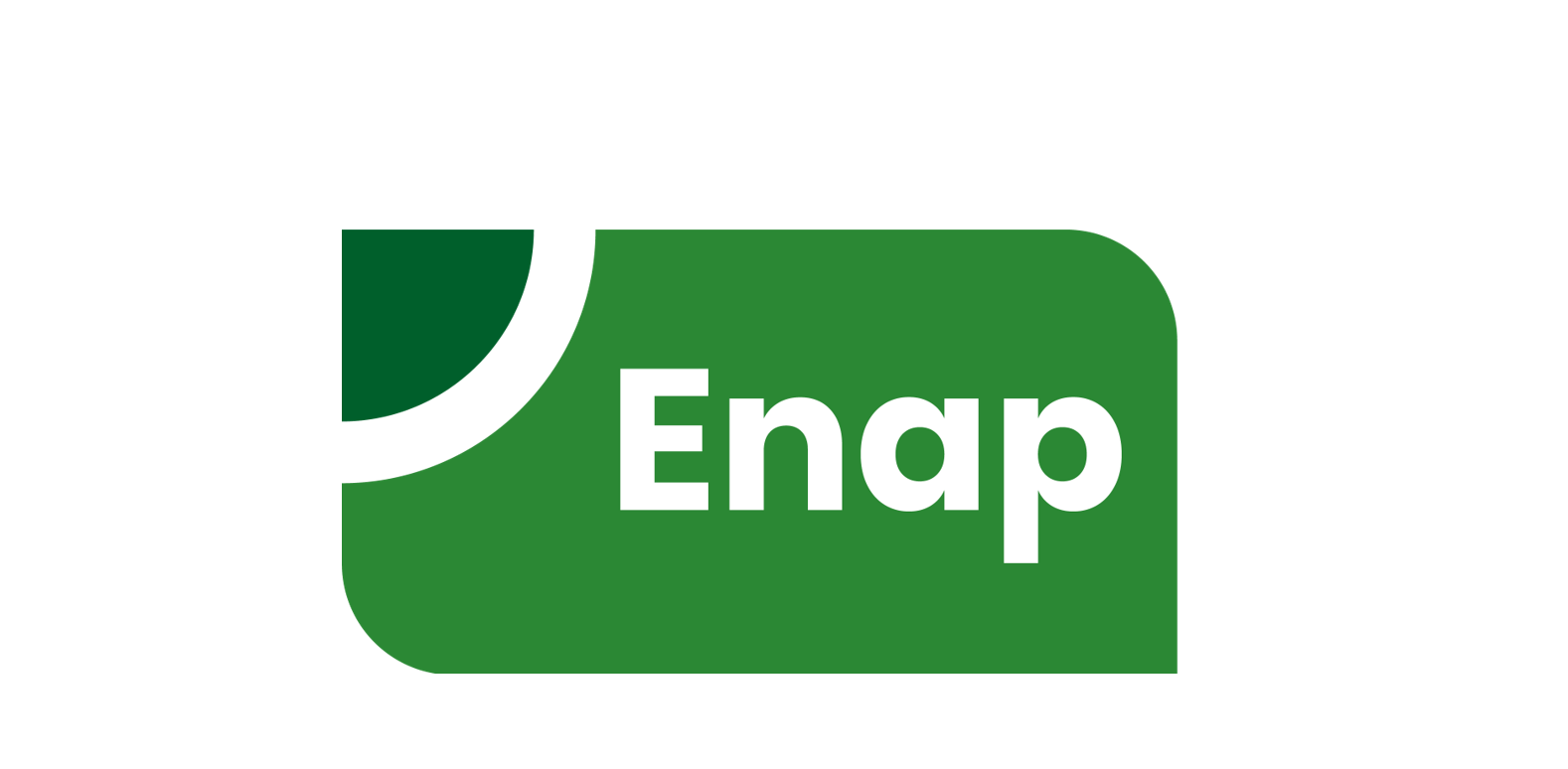 Enap encerra inscrições para MBA gratuito em Ciência de Dados e IA nesta sexta-feira