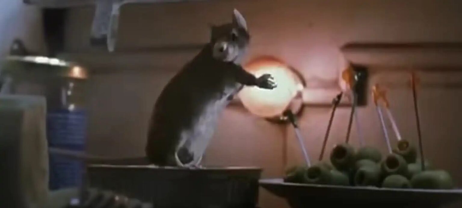 Os 10 Melhores Filmes Infantis dos Anos 90 que Encantam Gerações