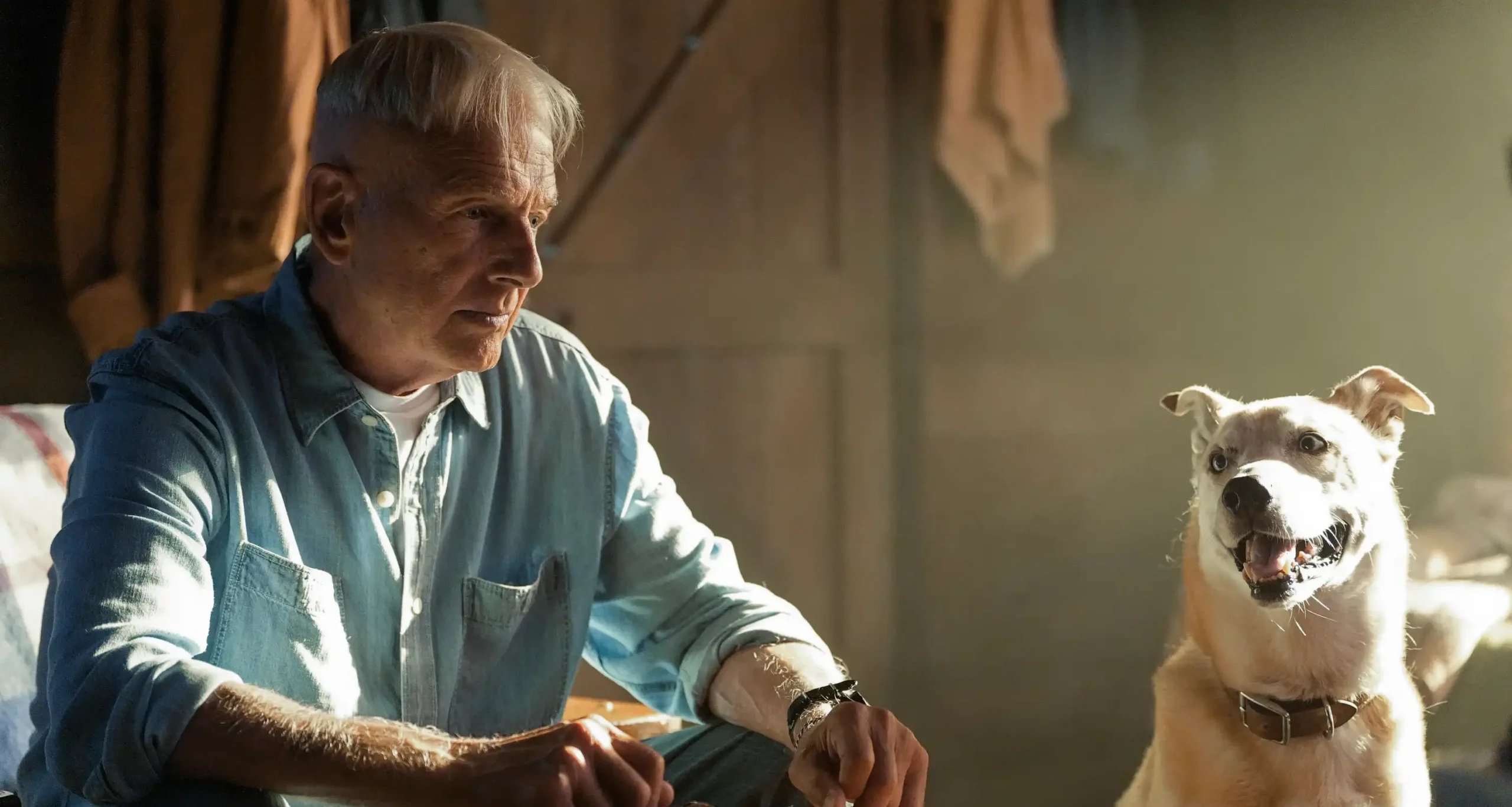 Mark Harmon retorna como protagonista na 3ª temporada de NCIS: Origins