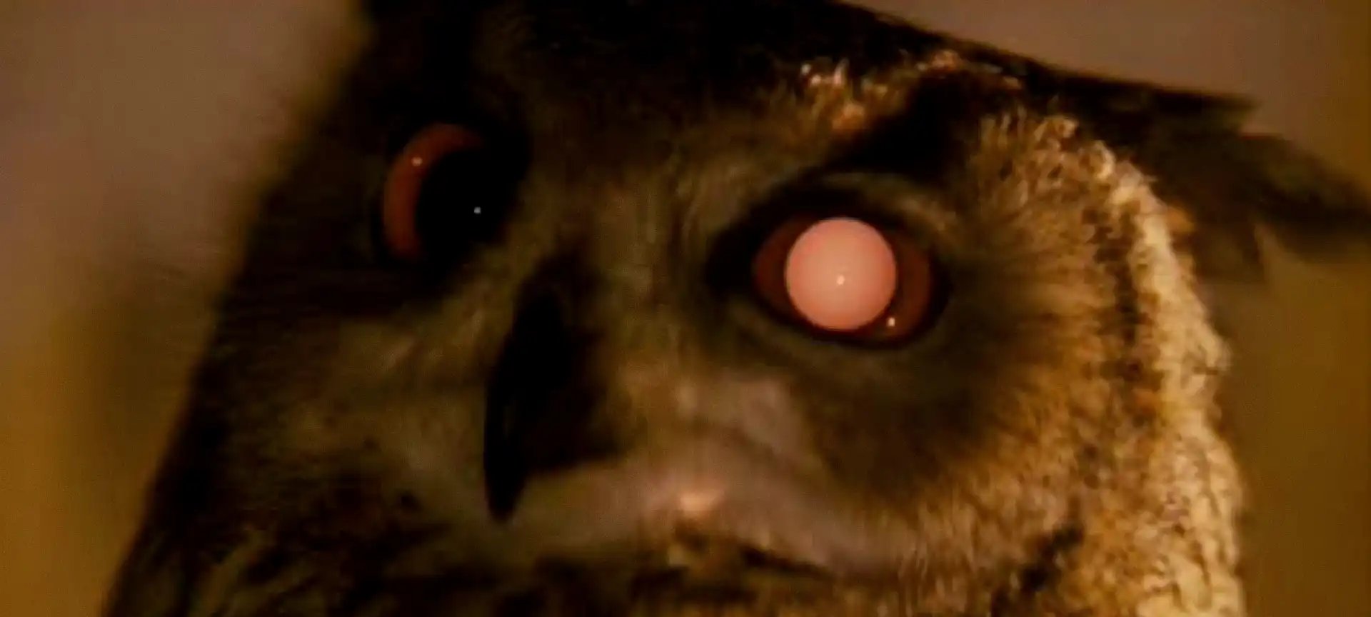 Detalhe sobre animais artificiais em Blade Runner é crucial no livro original de Philip K. Dick