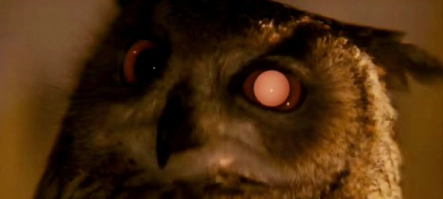 Detalhe sobre animais artificiais em Blade Runner é crucial no livro original de Philip K. Dick