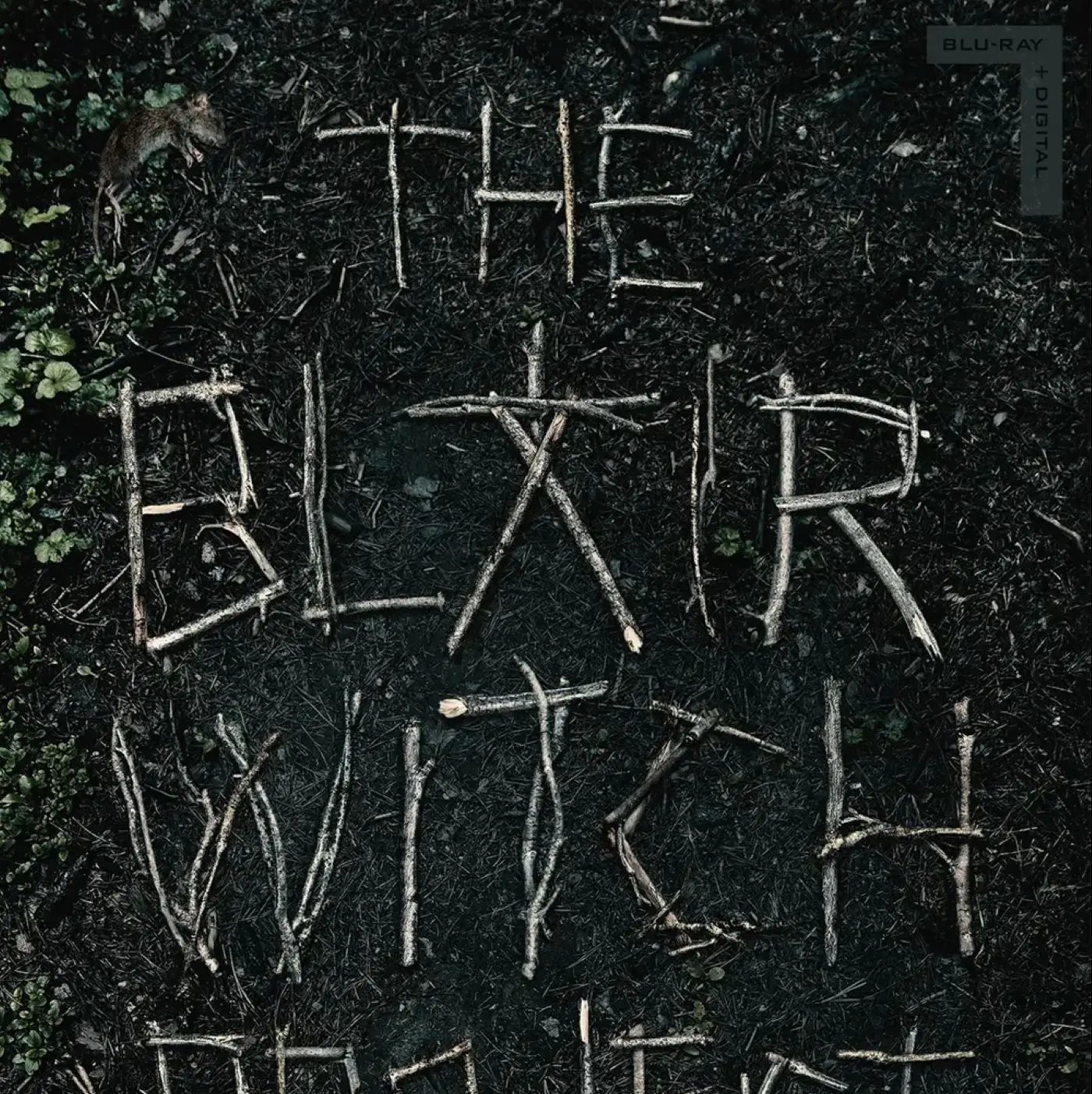 The Blair Witch Project ganha edição especial em Blu-ray com conteúdos inéditos