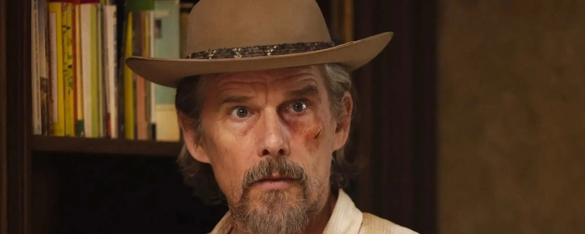 Segunda temporada de The Lowdown estreia com avaliação perfeita no Rotten Tomatoes